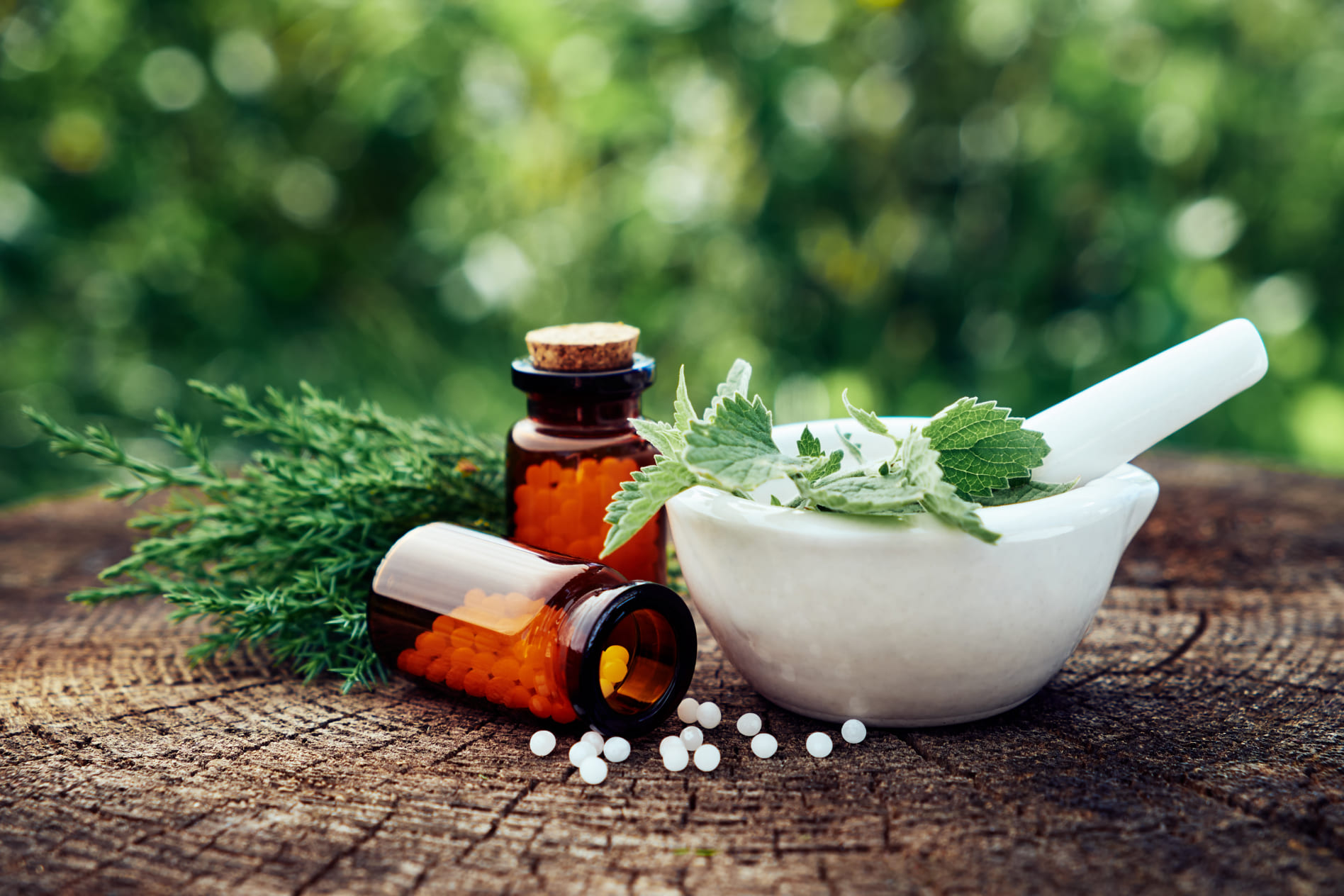frasco de remédios de homeopatia e uma cumbuca branca rechada de folhas e ervas