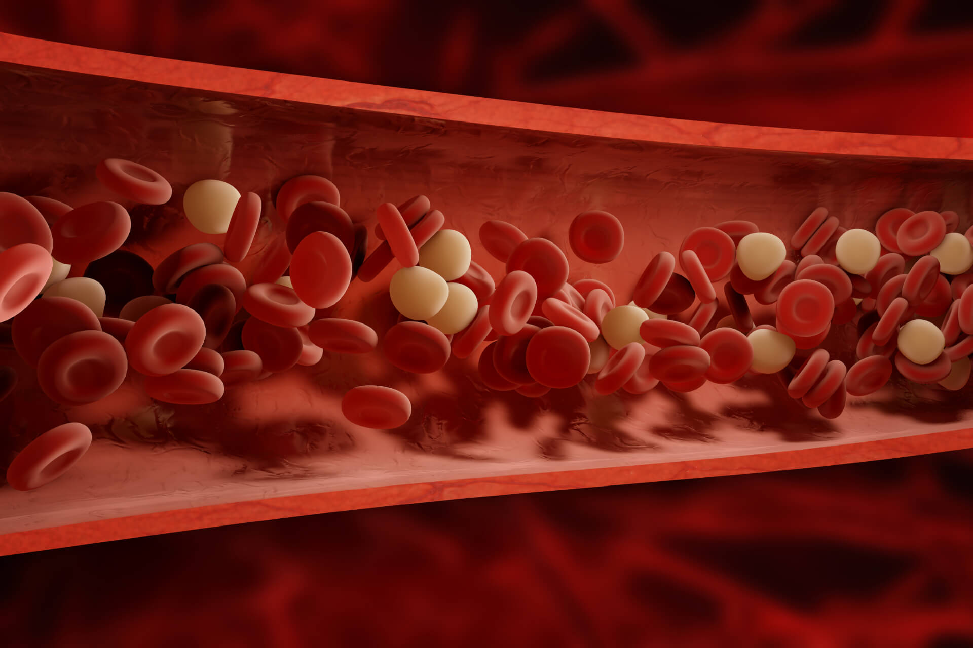 Quais níveis de ferritina no sangue são preocupantes?